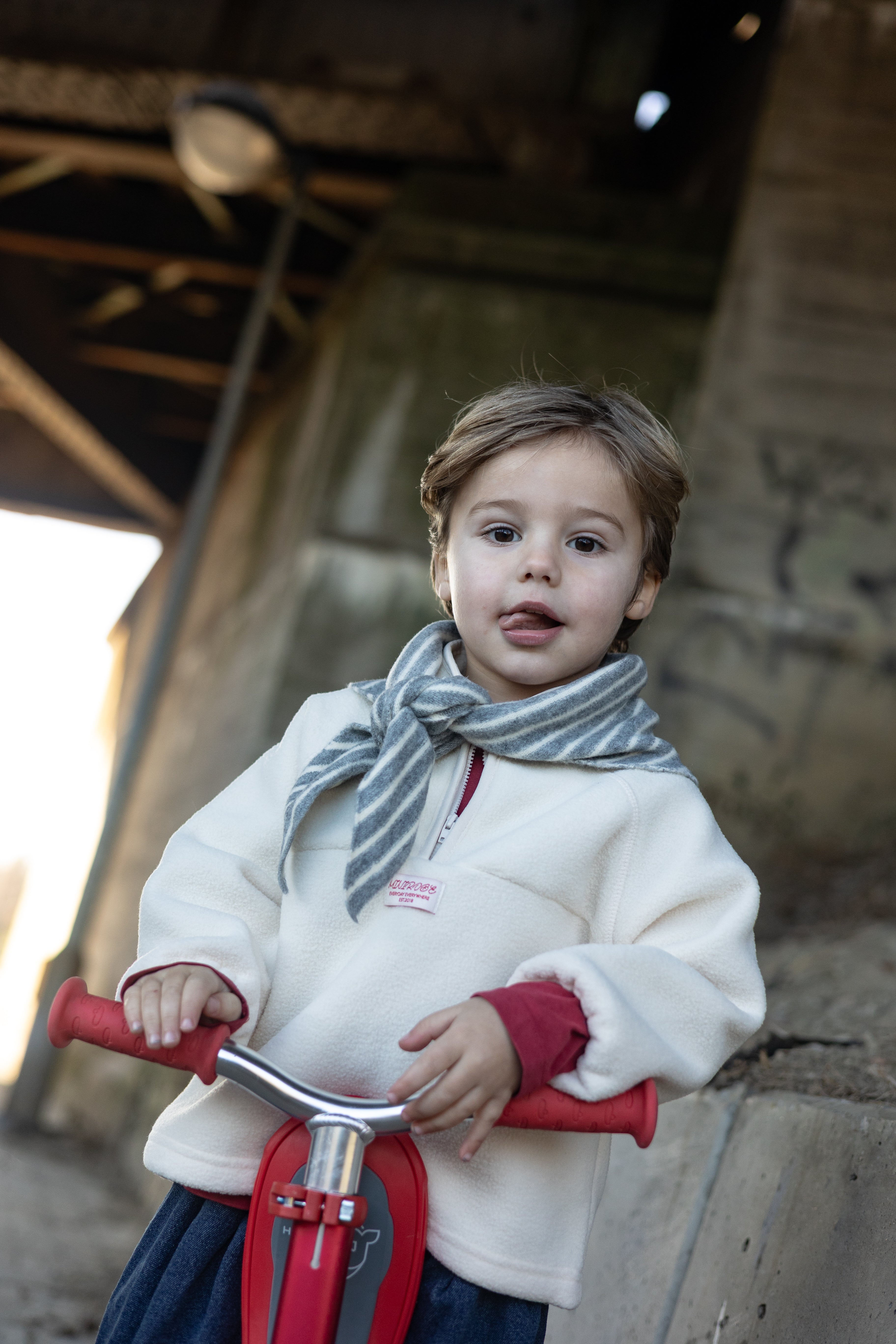 Echarpe Stripy - gris et écru