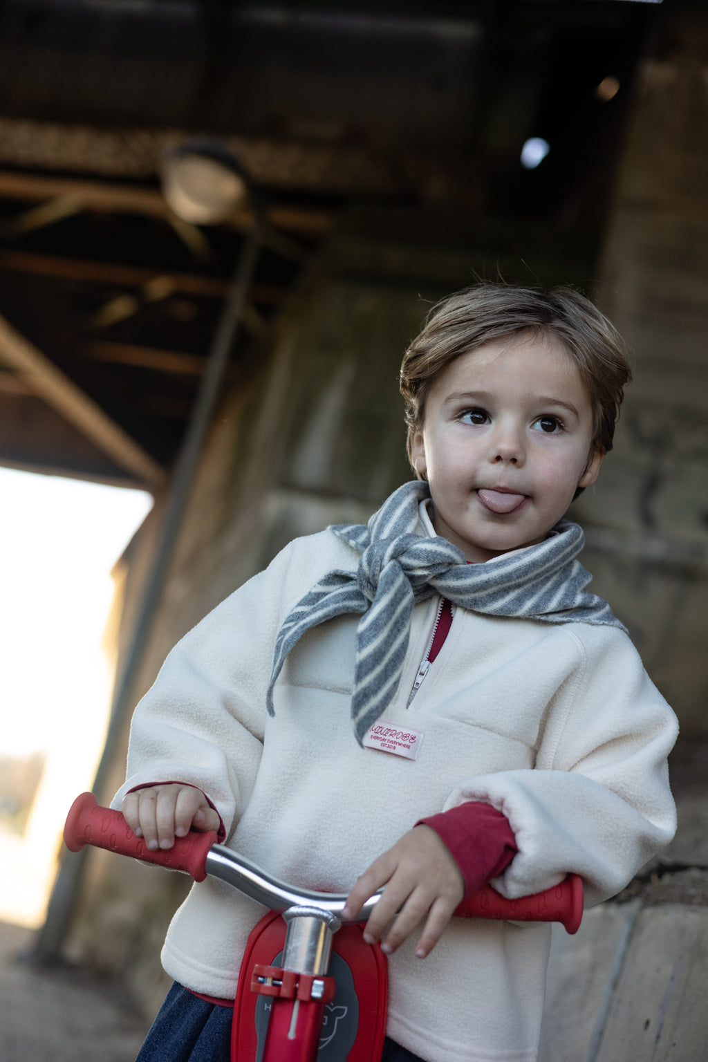 Echarpe Stripy - gris et écru