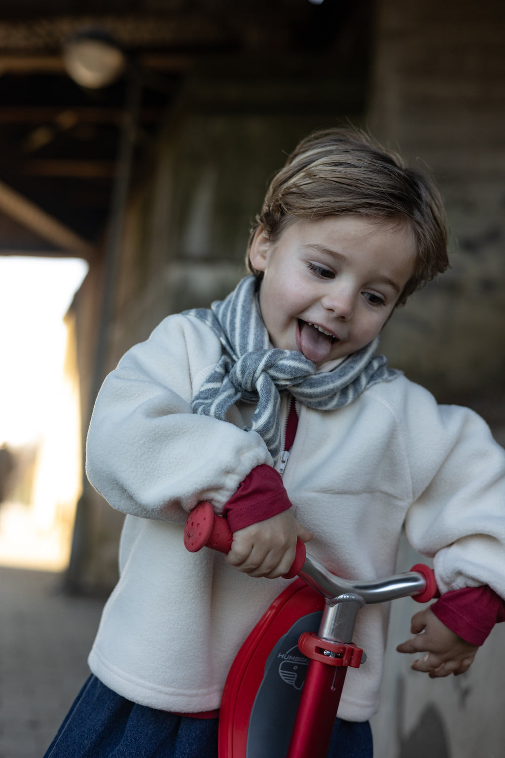 Echarpe Stripy - gris et écru