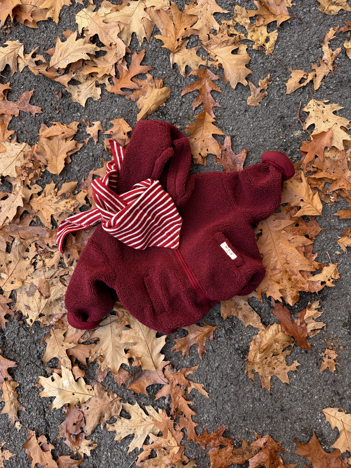 Manteau Noah - bordeaux