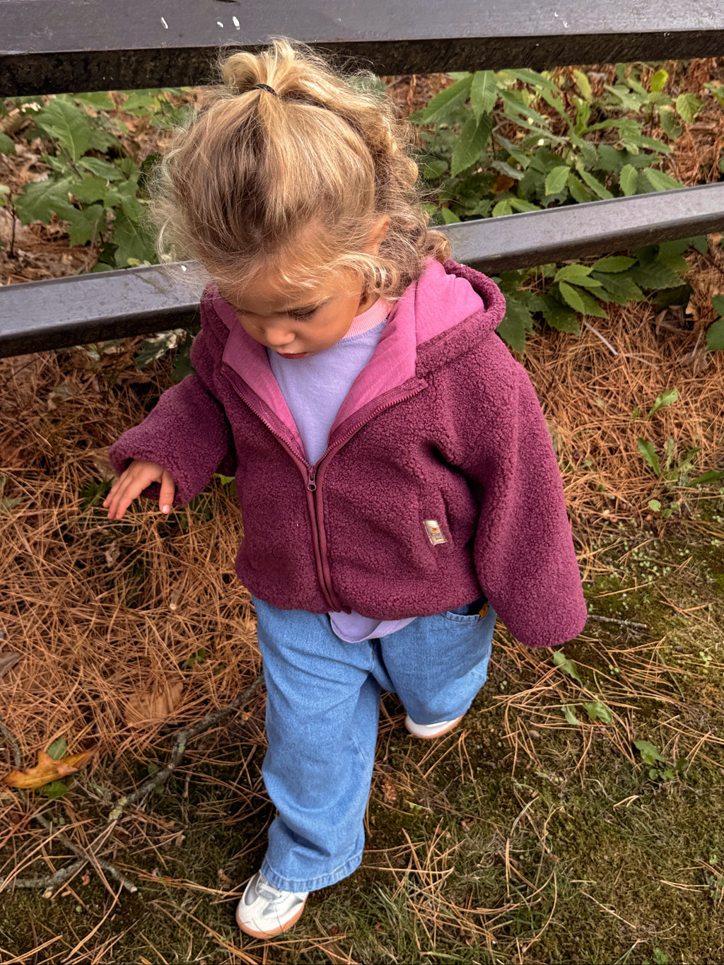 Manteau Noah - prune