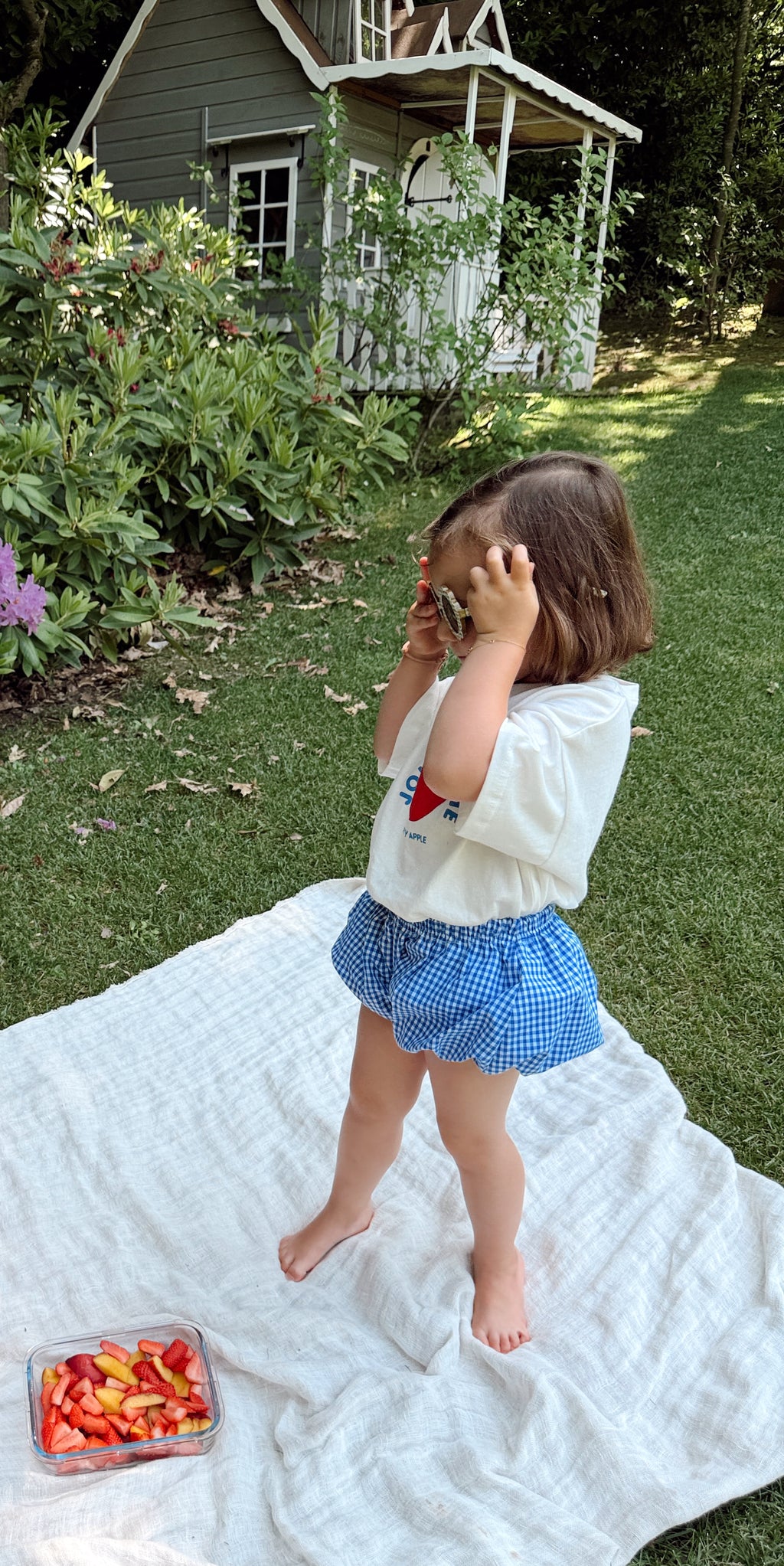 Giulia Shorts - blue gingham
