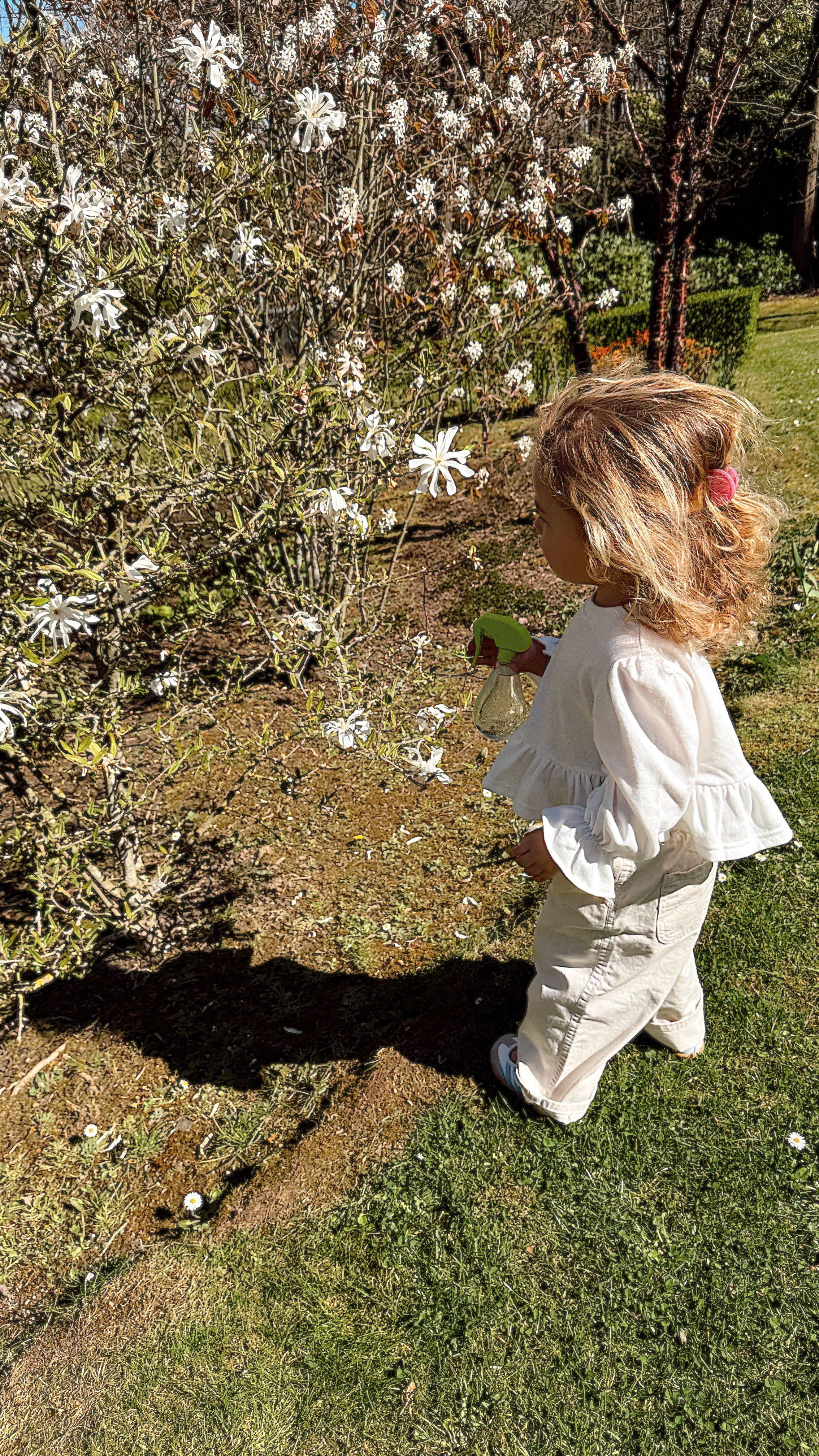 T-shirt Jasmine - écru