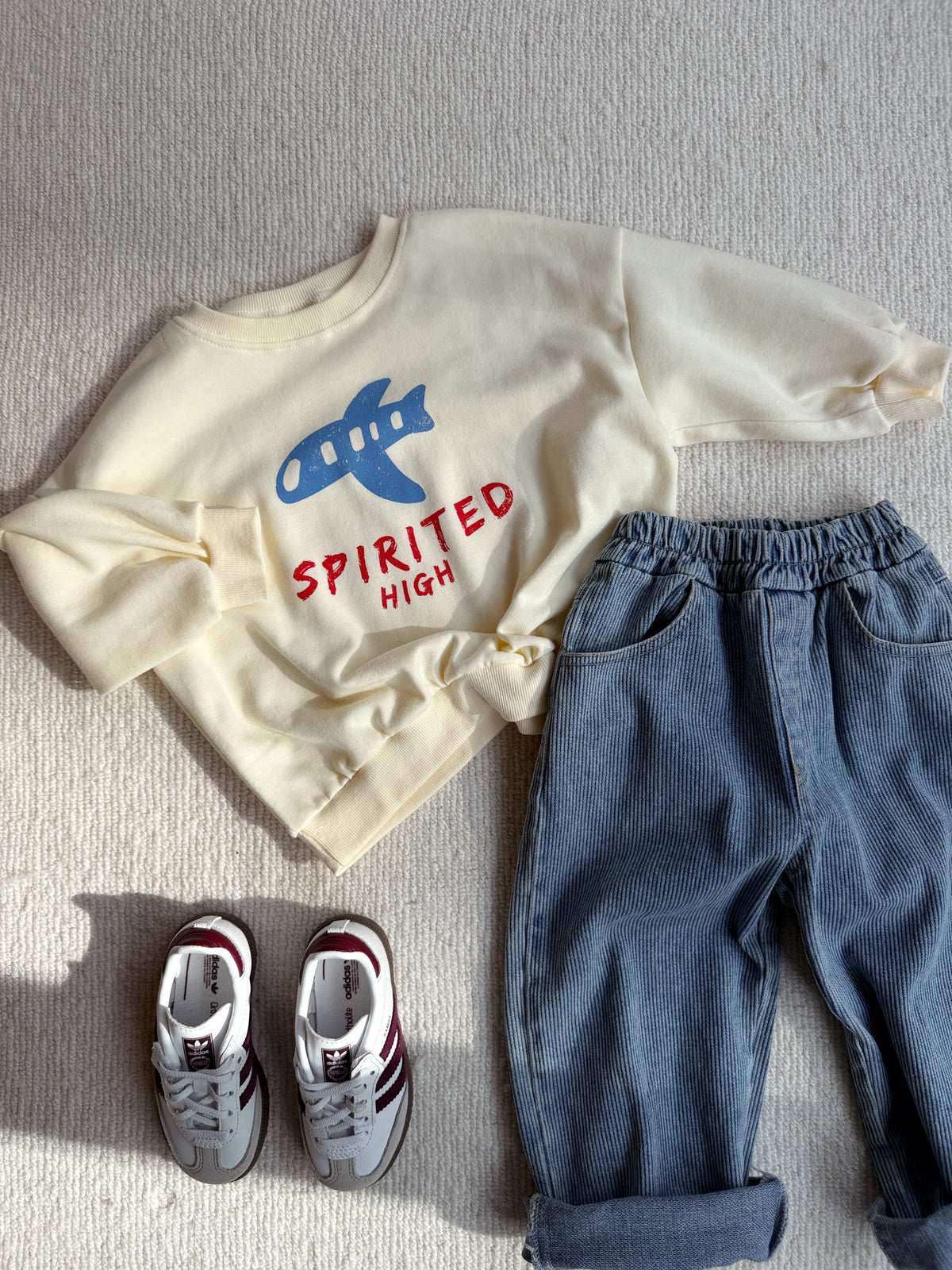 Sweat Plane - écru